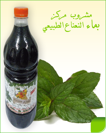 Hazem - Natürlicher Konzentrierter Minzsirup 1L